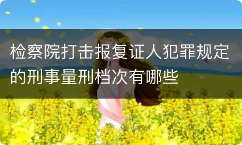 检察院打击报复证人犯罪规定的刑事量刑档次有哪些