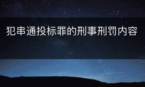 犯串通投标罪的刑事刑罚内容