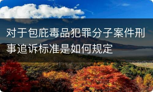 对于包庇毒品犯罪分子案件刑事追诉标准是如何规定