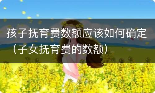 孩子抚育费数额应该如何确定（子女抚育费的数额）