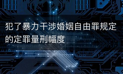 犯了暴力干涉婚姻自由罪规定的定罪量刑幅度