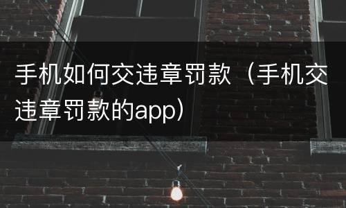 手机如何交违章罚款（手机交违章罚款的app）