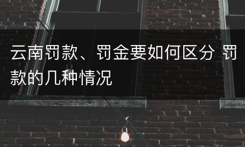 云南罚款、罚金要如何区分 罚款的几种情况