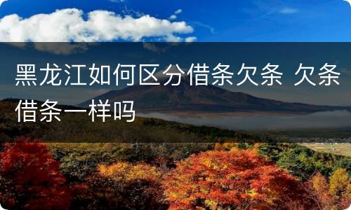 黑龙江如何区分借条欠条 欠条借条一样吗