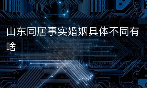 山东同居事实婚姻具体不同有啥