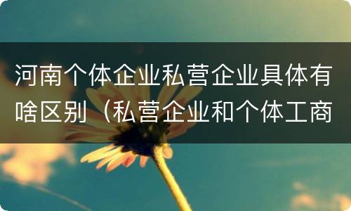 河南个体企业私营企业具体有啥区别（私营企业和个体工商户的区别哪些?）