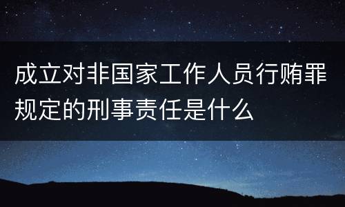 成立对非国家工作人员行贿罪规定的刑事责任是什么