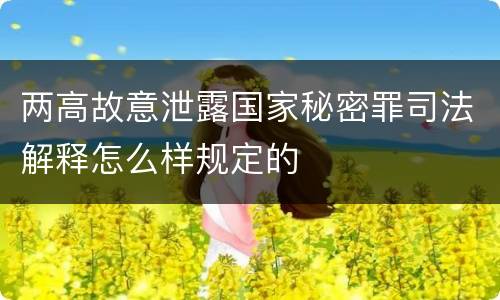 两高故意泄露国家秘密罪司法解释怎么样规定的