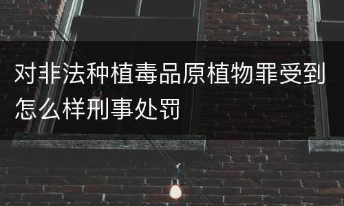 对非法种植毒品原植物罪受到怎么样刑事处罚