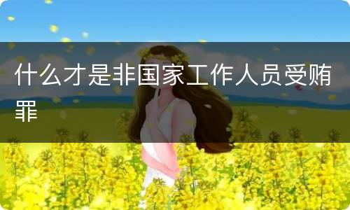什么才是非国家工作人员受贿罪