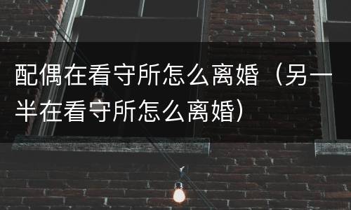 配偶在看守所怎么离婚（另一半在看守所怎么离婚）