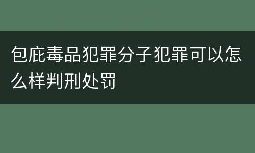 包庇毒品犯罪分子犯罪可以怎么样判刑处罚