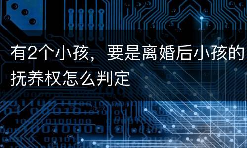 有2个小孩，要是离婚后小孩的抚养权怎么判定