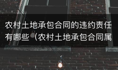 农村土地承包合同的违约责任有哪些（农村土地承包合同属于什么合同）