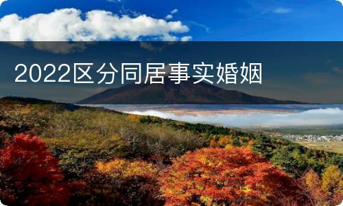 2022区分同居事实婚姻