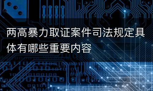 两高暴力取证案件司法规定具体有哪些重要内容