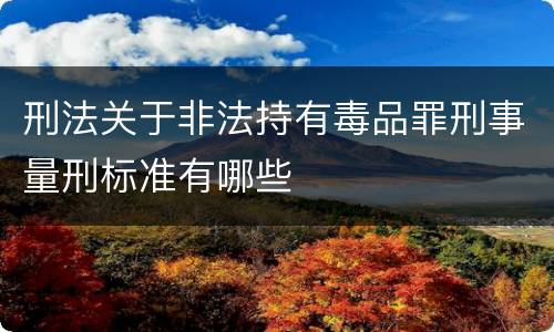 刑法关于非法持有毒品罪刑事量刑标准有哪些