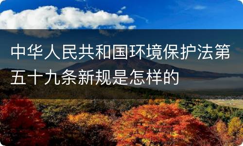 中华人民共和国环境保护法第五十九条新规是怎样的