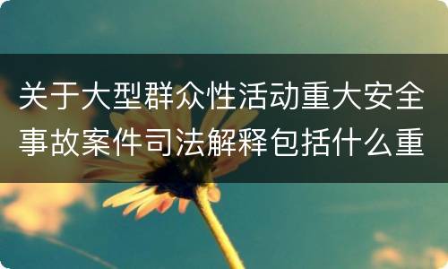 关于大型群众性活动重大安全事故案件司法解释包括什么重要规定