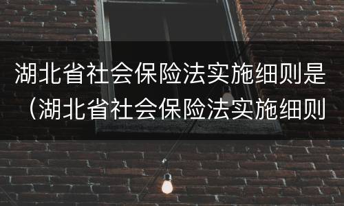 湖北省社会保险法实施细则是（湖北省社会保险法实施细则是第几条）