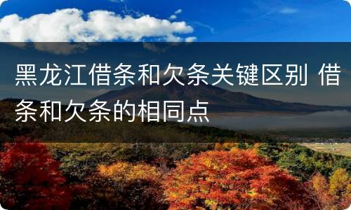 黑龙江借条和欠条关键区别 借条和欠条的相同点