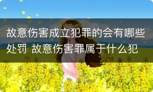 故意伤害成立犯罪的会有哪些处罚 故意伤害罪属于什么犯