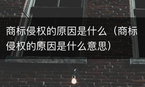 商标侵权的原因是什么（商标侵权的原因是什么意思）