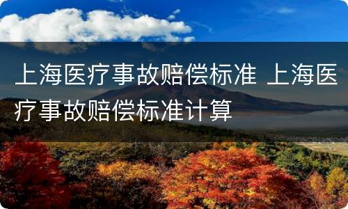 上海医疗事故赔偿标准 上海医疗事故赔偿标准计算