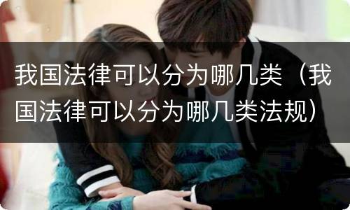 我国法律可以分为哪几类（我国法律可以分为哪几类法规）