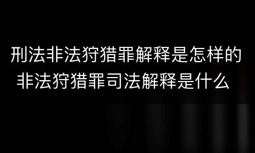 刑法非法狩猎罪解释是怎样的 非法狩猎罪司法解释是什么