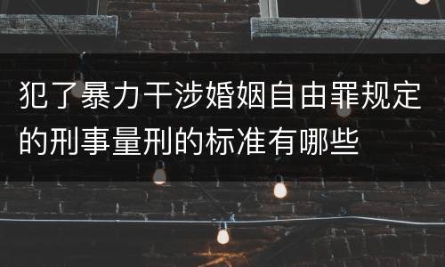 犯了暴力干涉婚姻自由罪规定的刑事量刑的标准有哪些