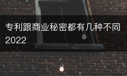 专利跟商业秘密都有几种不同2022