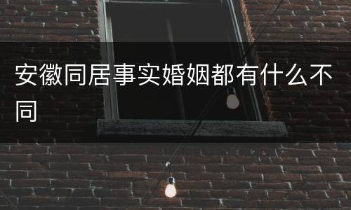 安徽同居事实婚姻都有什么不同