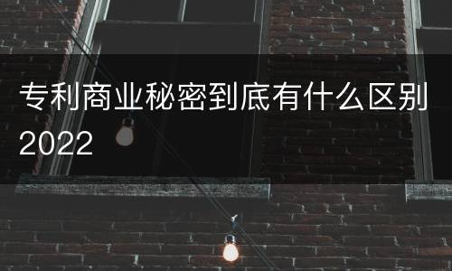 专利商业秘密到底有什么区别2022