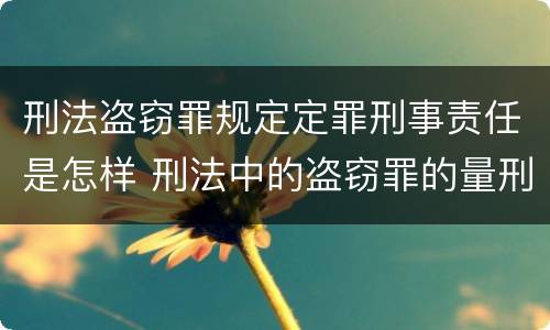 刑法盗窃罪规定定罪刑事责任是怎样 刑法中的盗窃罪的量刑