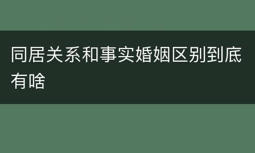 同居关系和事实婚姻区别到底有啥