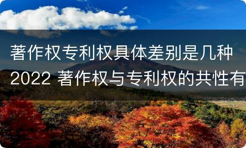 著作权专利权具体差别是几种2022 著作权与专利权的共性有
