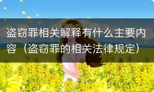 盗窃罪相关解释有什么主要内容（盗窃罪的相关法律规定）