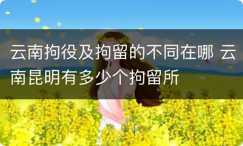 云南拘役及拘留的不同在哪 云南昆明有多少个拘留所