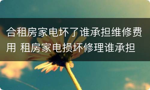 合租房家电坏了谁承担维修费用 租房家电损坏修理谁承担