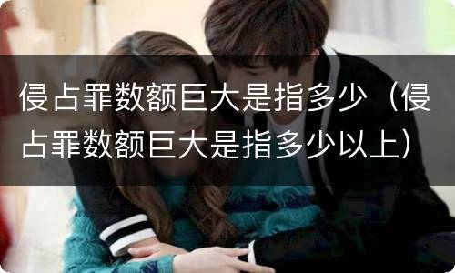 侵占罪数额巨大是指多少（侵占罪数额巨大是指多少以上）