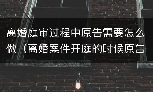离婚庭审过程中原告需要怎么做（离婚案件开庭的时候原告应该怎么陈述）