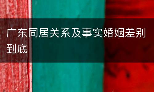 广东同居关系及事实婚姻差别到底