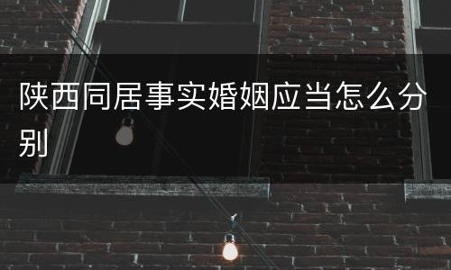 陕西同居事实婚姻应当怎么分别