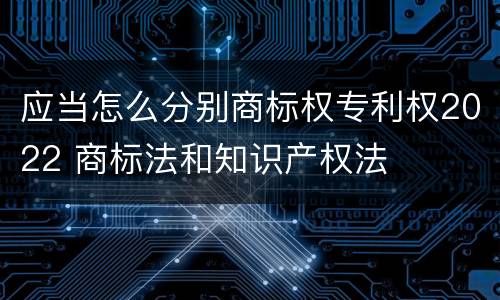 应当怎么分别商标权专利权2022 商标法和知识产权法