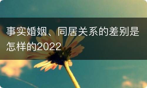 事实婚姻、同居关系的差别是怎样的2022