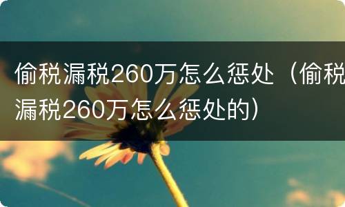 偷税漏税260万怎么惩处（偷税漏税260万怎么惩处的）