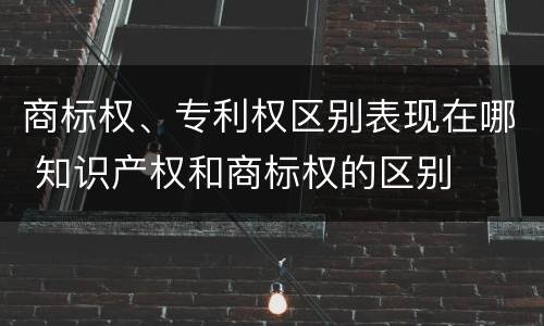 商标权、专利权区别表现在哪 知识产权和商标权的区别