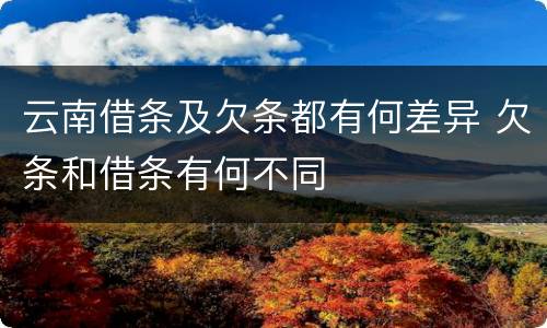 云南借条及欠条都有何差异 欠条和借条有何不同