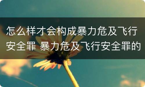 怎么样才会构成暴力危及飞行安全罪 暴力危及飞行安全罪的构成要件